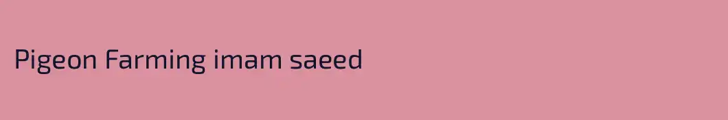 Pigeon Farming imam saeed 